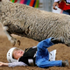 Illustration for article titled The Patriotism Of "Mutton-Bustin'": The Young Men In The Arena Clinging Bravely To Our Last Chance At Global Competitiveness